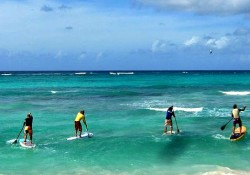 stand-up-paddle