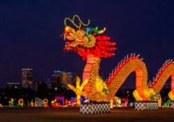 astrologie chinoise