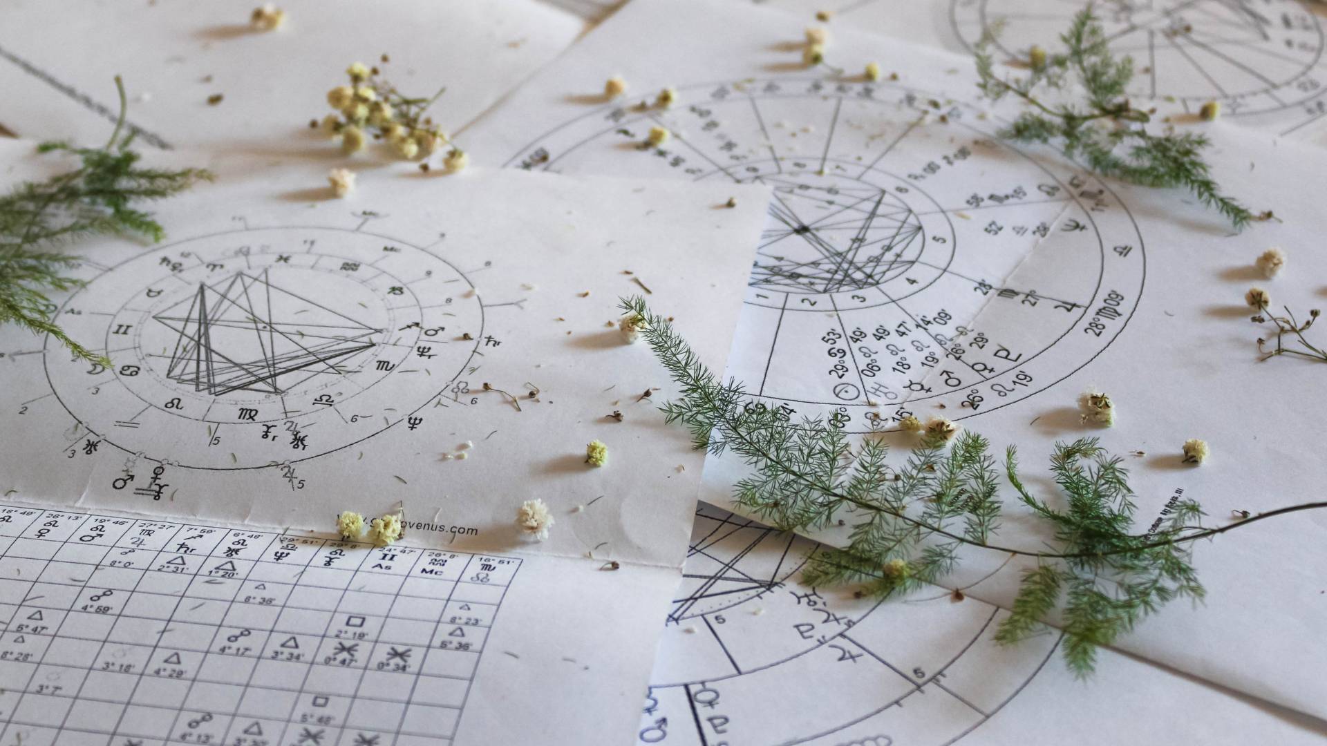 astrologie