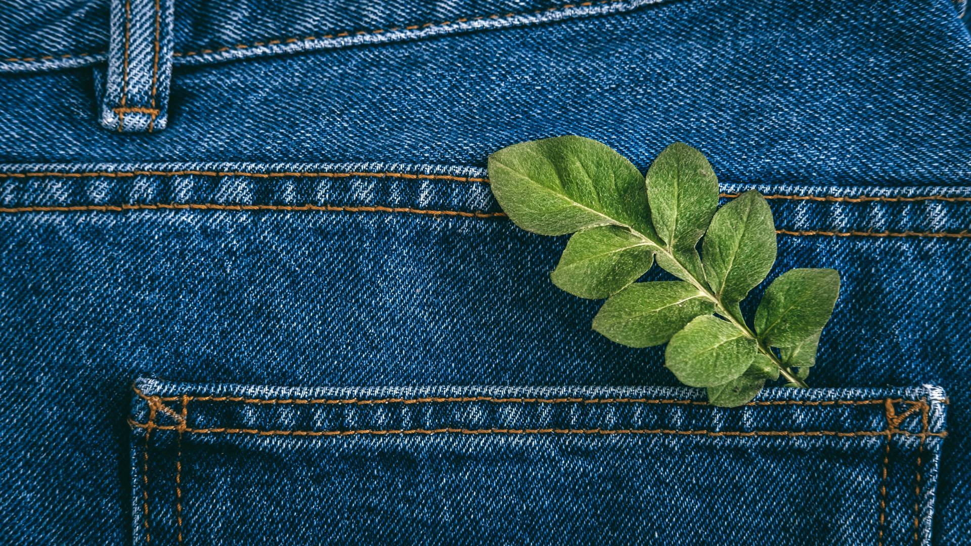 mode ecologique