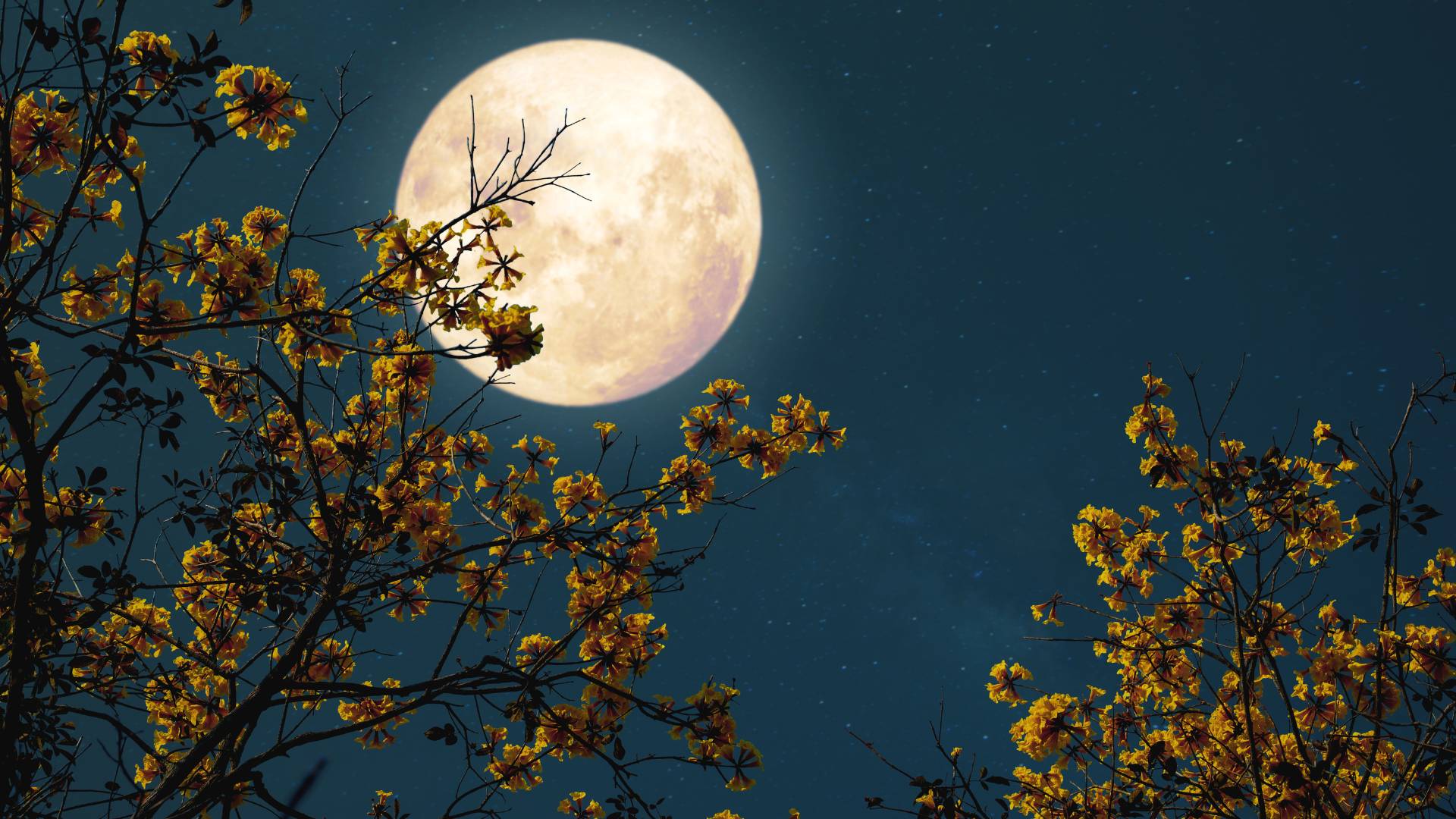 pleine lune