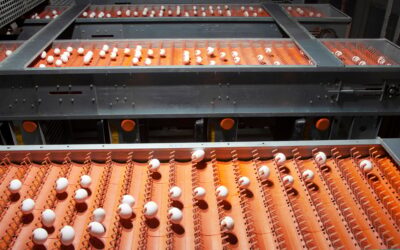 Laser Life Technology: Detecting Fertile Eggs and Optimizing Hatch Rates